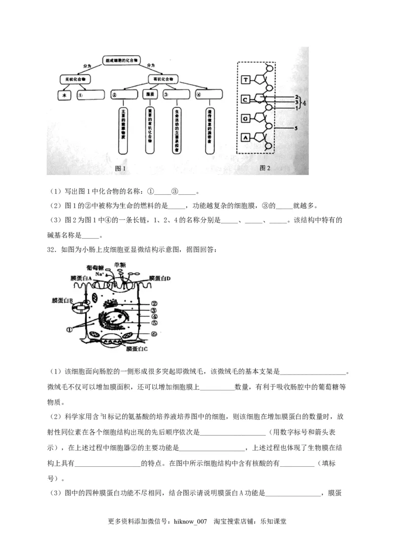 高一生物上学期期末测试卷02（人教版必修1）（原卷版）_E015高中全科试卷_生物试题_必修1_4.期末试卷_1.模拟题_高一生物上学期期末测试卷02（人教版必修1）