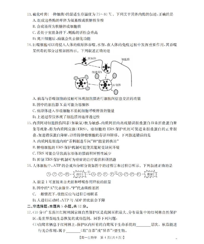 陕西省2025-2026学年高一上学期12月考试（26-167A）生物_2024-2025高一（7-7月题库）_2026年1月高一_260103金太阳&middot;陕西省2025-2026学年高一上学期12月考试（26-167A）（全）