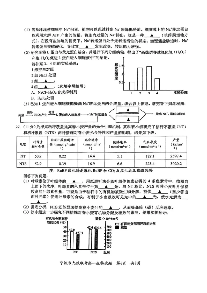 浙江省宁波市九校2024-2025学年高一上学期期末联考试题生物PDF版含答案_2024-2025高一（7-7月题库）_2025年01月试卷_0123浙江省宁波市九校2024-2025学年高一上学期期末联考试题