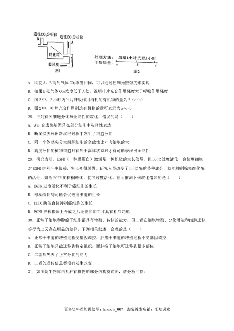 高一生物上学期期末测试卷03（人教版必修1）（原卷版）_E015高中全科试卷_生物试题_必修1_4.期末试卷_1.模拟题_高一生物上学期期末测试卷03（人教版必修1）