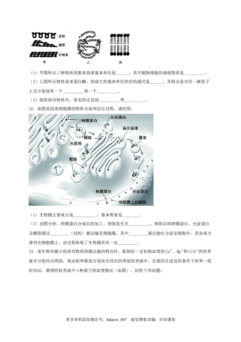 高一生物上学期期末测试卷03（人教版必修1）（原卷版）_E015高中全科试卷_生物试题_必修1_4.期末试卷_1.模拟题_高一生物上学期期末测试卷03（人教版必修1）