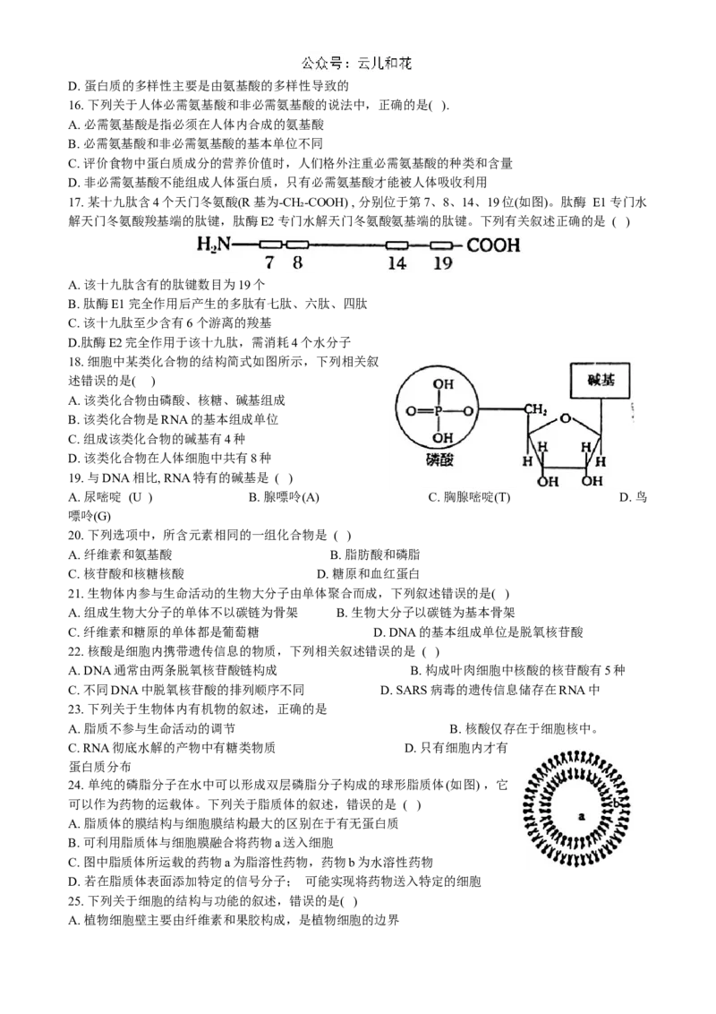 黑龙江省大庆市实验中学2024~2025学年高一上学期阶段考试生物试卷_2024-2025高一（7-7月题库）_2024年10月试卷_1025黑龙江省大庆市实验中学2024-2025学年高一上学期10月阶段考试
