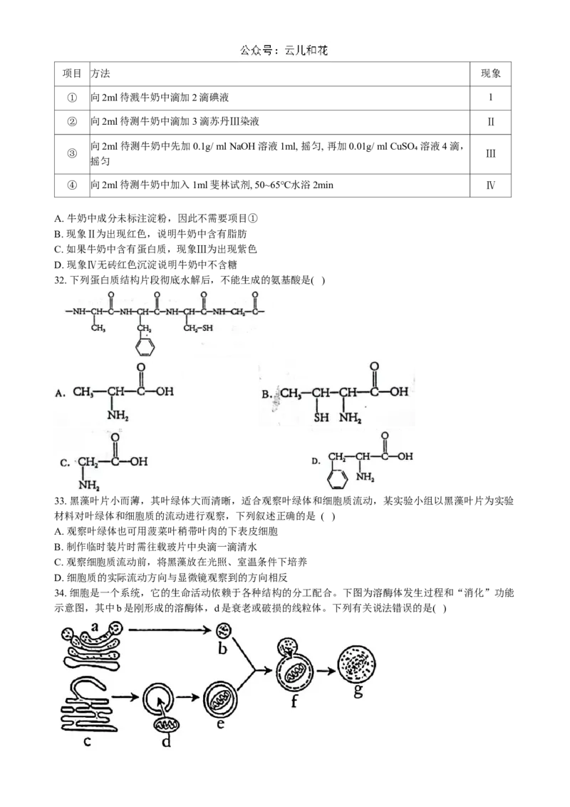 黑龙江省大庆市实验中学2024~2025学年高一上学期阶段考试生物试卷_2024-2025高一（7-7月题库）_2024年10月试卷_1025黑龙江省大庆市实验中学2024-2025学年高一上学期10月阶段考试