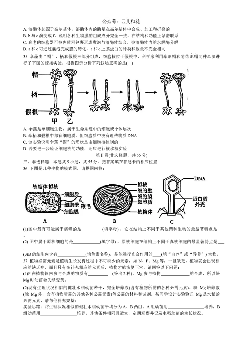 黑龙江省大庆市实验中学2024~2025学年高一上学期阶段考试生物试卷_2024-2025高一（7-7月题库）_2024年10月试卷_1025黑龙江省大庆市实验中学2024-2025学年高一上学期10月阶段考试