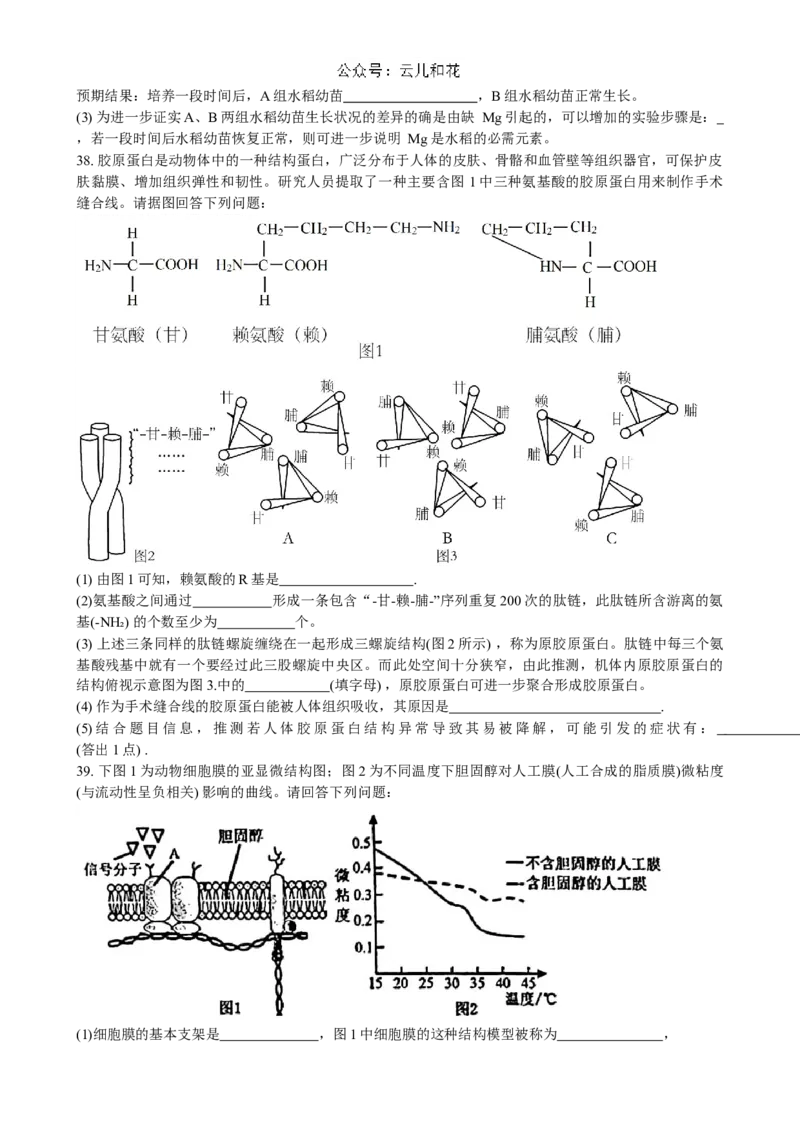 黑龙江省大庆市实验中学2024~2025学年高一上学期阶段考试生物试卷_2024-2025高一（7-7月题库）_2024年10月试卷_1025黑龙江省大庆市实验中学2024-2025学年高一上学期10月阶段考试