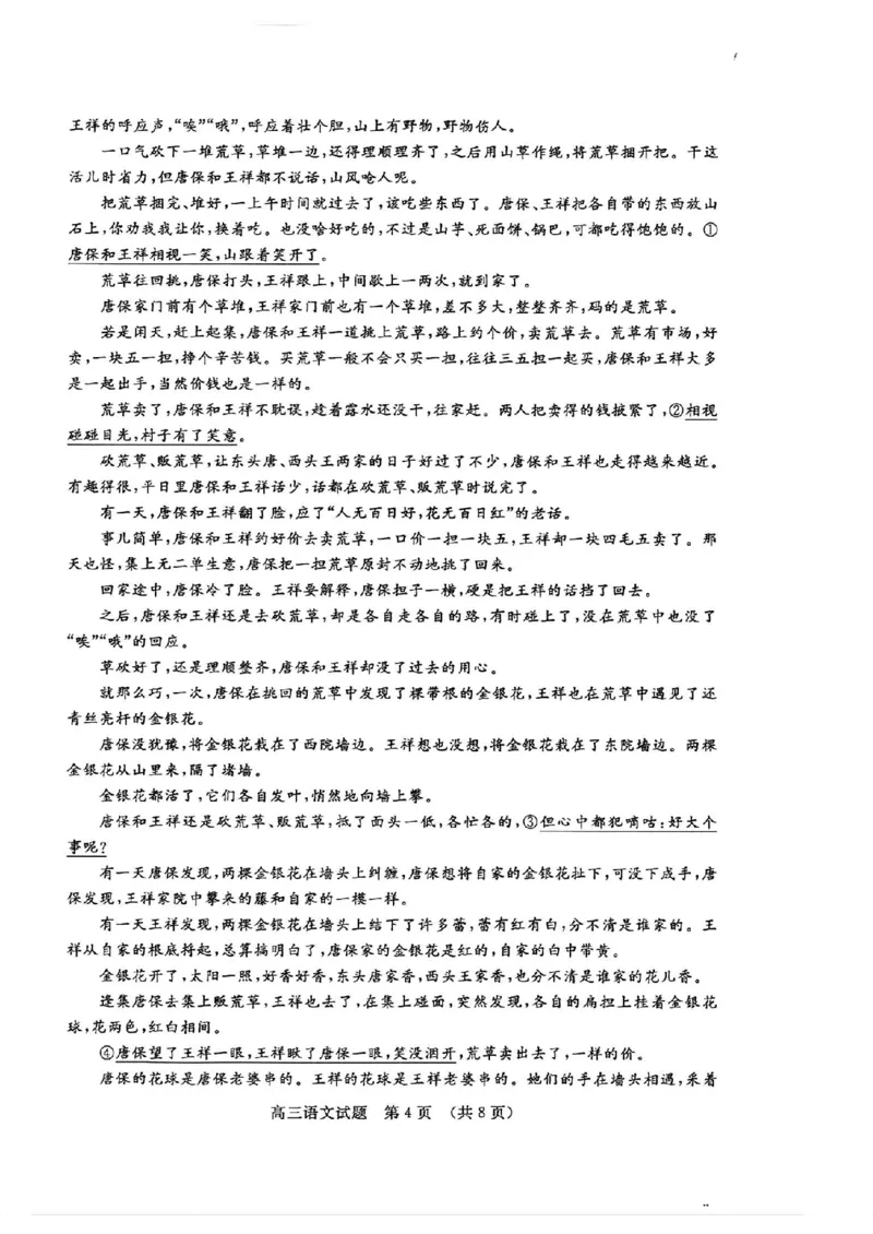 山东卷山东省济南市2024年(届)高三高考5月适应性训练(济南三模)(5.14-5.16)语文试卷+答案_2024年5月_01按日期_21号_2024届山东省济南市高考针对性训练(5月)三模