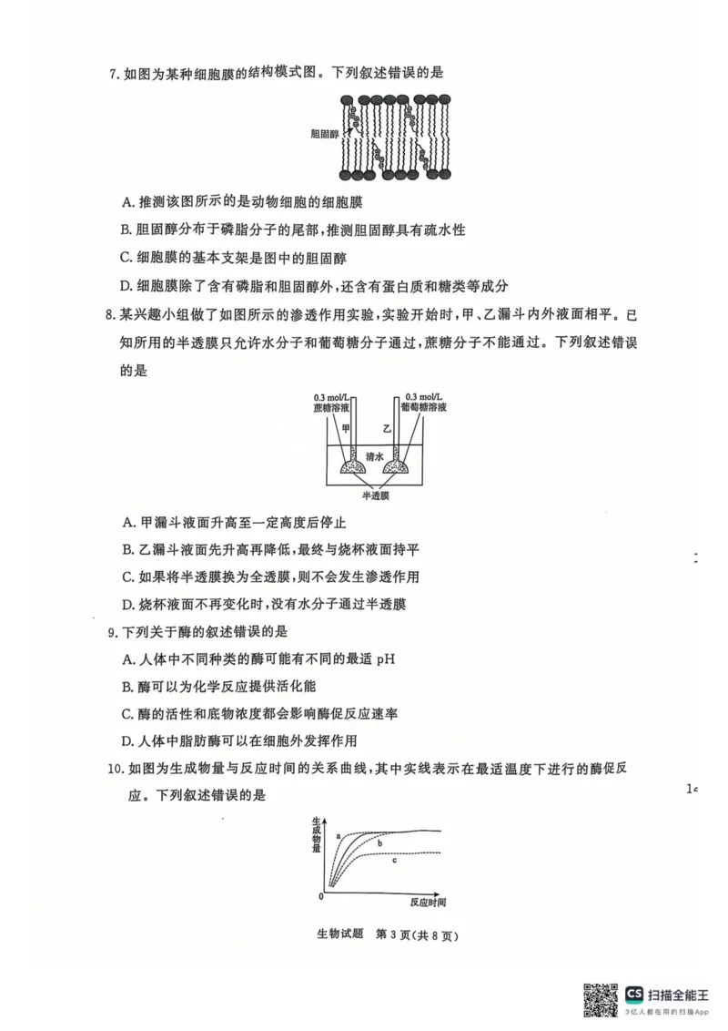 青桐鸣2024-2025学年高一上学期12月大联考生物试题扫描版含答案_2024-2025高一（7-7月题库）_2024年12月试卷_1219河南省青桐鸣2024-2025学年高一上学期12月大联考