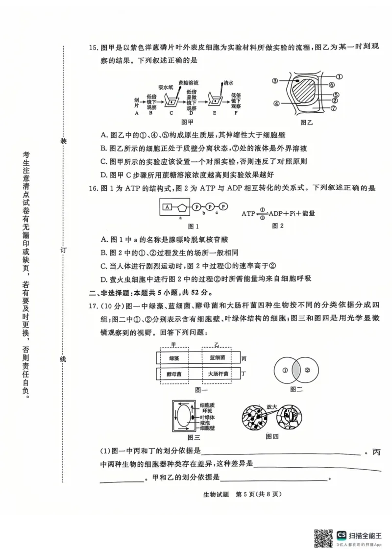 青桐鸣2024-2025学年高一上学期12月大联考生物试题扫描版含答案_2024-2025高一（7-7月题库）_2024年12月试卷_1219河南省青桐鸣2024-2025学年高一上学期12月大联考
