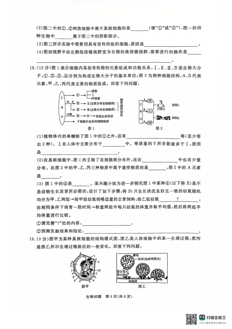 青桐鸣2024-2025学年高一上学期12月大联考生物试题扫描版含答案_2024-2025高一（7-7月题库）_2024年12月试卷_1219河南省青桐鸣2024-2025学年高一上学期12月大联考