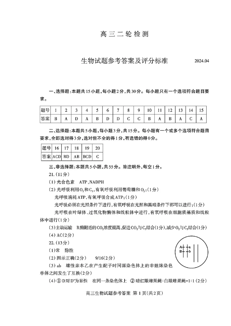 扫描件_高三二轮检测(生物答案)_2024年5月_01按日期_1号_2024届山东省泰安市高三4月二轮检测_2024届山东省泰安市高三4月二轮检测生物