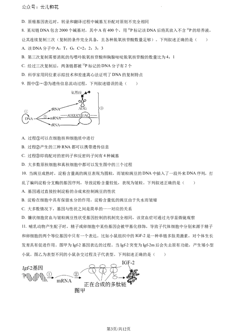 甘肃省甘南藏族自治州卓尼县2023-2024学年高一下学期期末生物试卷_2024-2025高一（7-7月题库）_2024年8月试卷_0802甘肃省普通高中2023-2024学年高一下学期期末教学质量统一检测