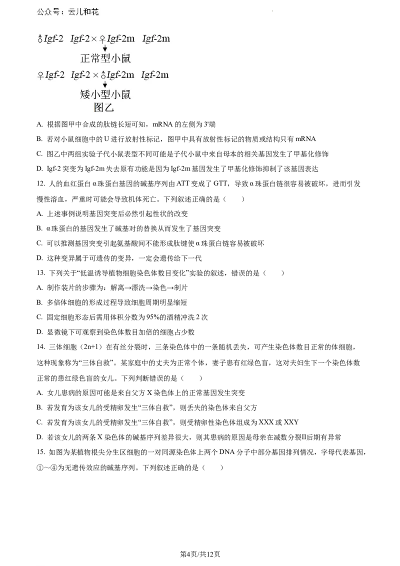 甘肃省甘南藏族自治州卓尼县2023-2024学年高一下学期期末生物试卷_2024-2025高一（7-7月题库）_2024年8月试卷_0802甘肃省普通高中2023-2024学年高一下学期期末教学质量统一检测