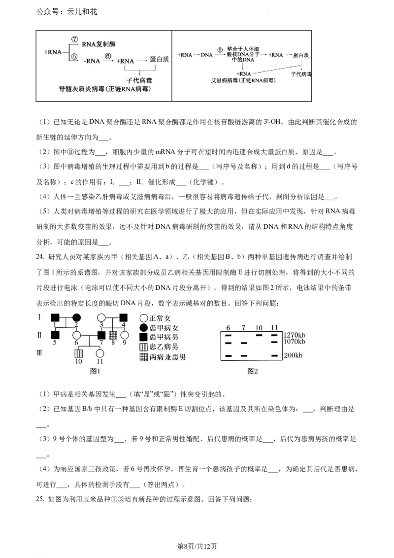 甘肃省甘南藏族自治州卓尼县2023-2024学年高一下学期期末生物试卷_2024-2025高一（7-7月题库）_2024年8月试卷_0802甘肃省普通高中2023-2024学年高一下学期期末教学质量统一检测