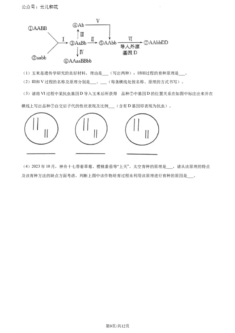 甘肃省甘南藏族自治州卓尼县2023-2024学年高一下学期期末生物试卷_2024-2025高一（7-7月题库）_2024年8月试卷_0802甘肃省普通高中2023-2024学年高一下学期期末教学质量统一检测