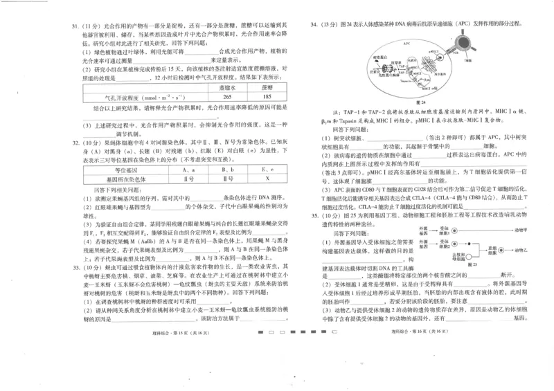 师附中8理综试卷(1)_2024年4月_01按日期_6号_2024届新结构高考数学合集_新高考19题（九省联考模式）数学合集140套_2024届百强校｜云南师范大学附属中学高三下学期高考适应性月考卷（八）