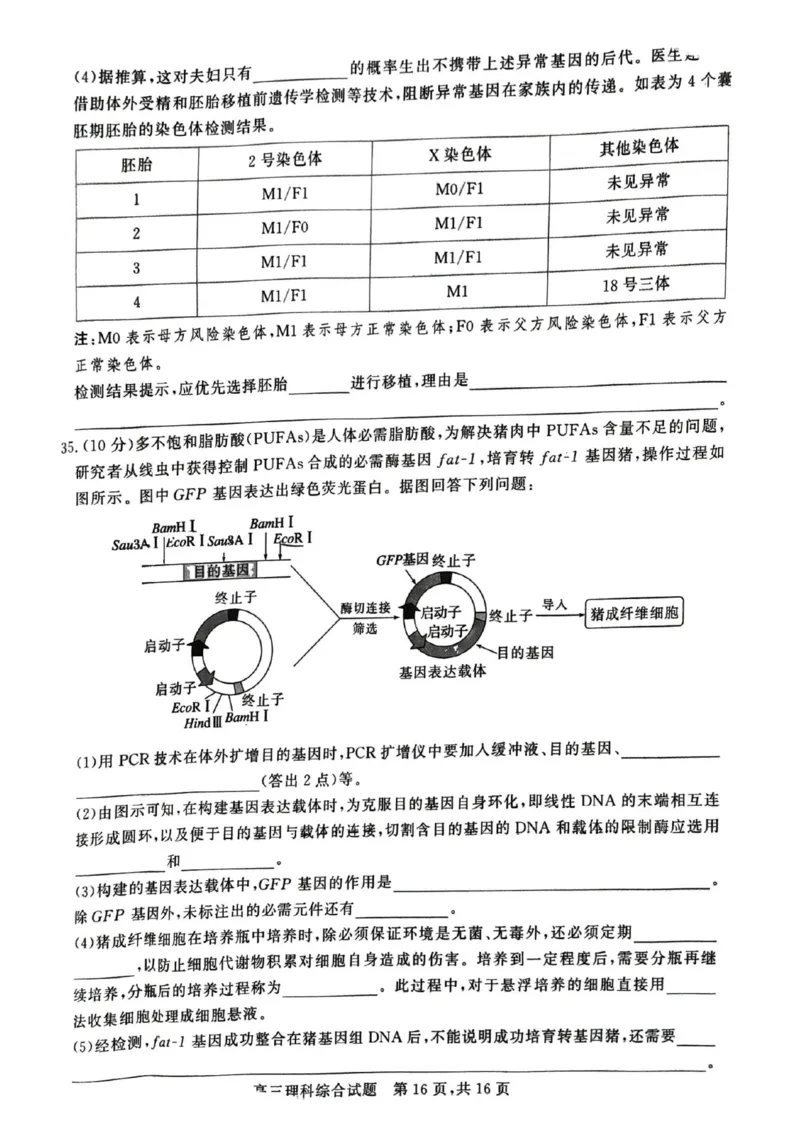 山西省朔州市怀仁一中2024届高三四模理综试题_2024年5月_01按日期_8号_2024届山西省朔州市怀仁一中高三下学期四模_2024届山西省朔州市怀仁市第一中学校高三下学期四模理科综合试题