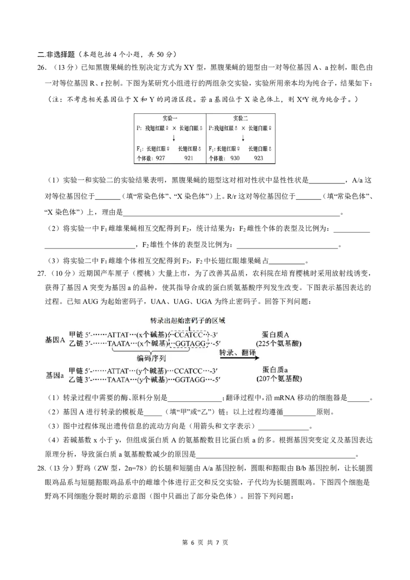 生物-四川省绵阳市南山中学2023-2024学年高一下学期期末统考_2024-2025高一（7-7月题库）_2024年7月试卷_0701四川省绵阳市南山中学2023-2024学年高一下学期期末统考