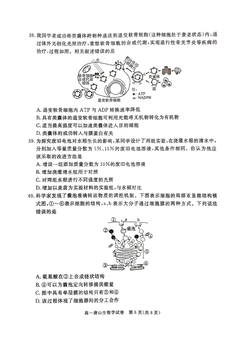 河北省唐山市2024-2025学年高一上学期期末考试生物PDF版无答案_2024-2025高一（7-7月题库）_2025年03月试卷_0312河北省唐山市2024-2025学年高一上学期期末考试