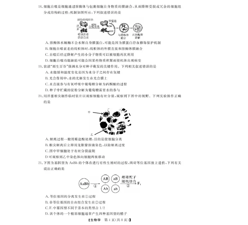 浙江省强基联盟2024-2025学年高一下学期4月期中联考生物试卷（扫描版含解析）_2024-2025高一（7-7月题库）_2025年05月试卷_0519浙江省强基联盟2024-2025学年高一下学期4月期中联考试题