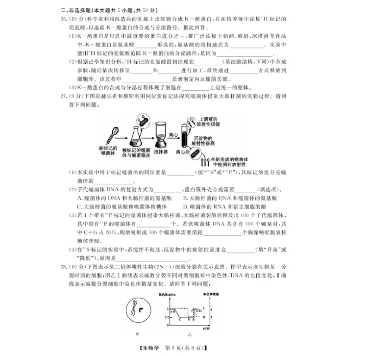 浙江省强基联盟2024-2025学年高一下学期4月期中联考生物试卷（扫描版含解析）_2024-2025高一（7-7月题库）_2025年05月试卷_0519浙江省强基联盟2024-2025学年高一下学期4月期中联考试题