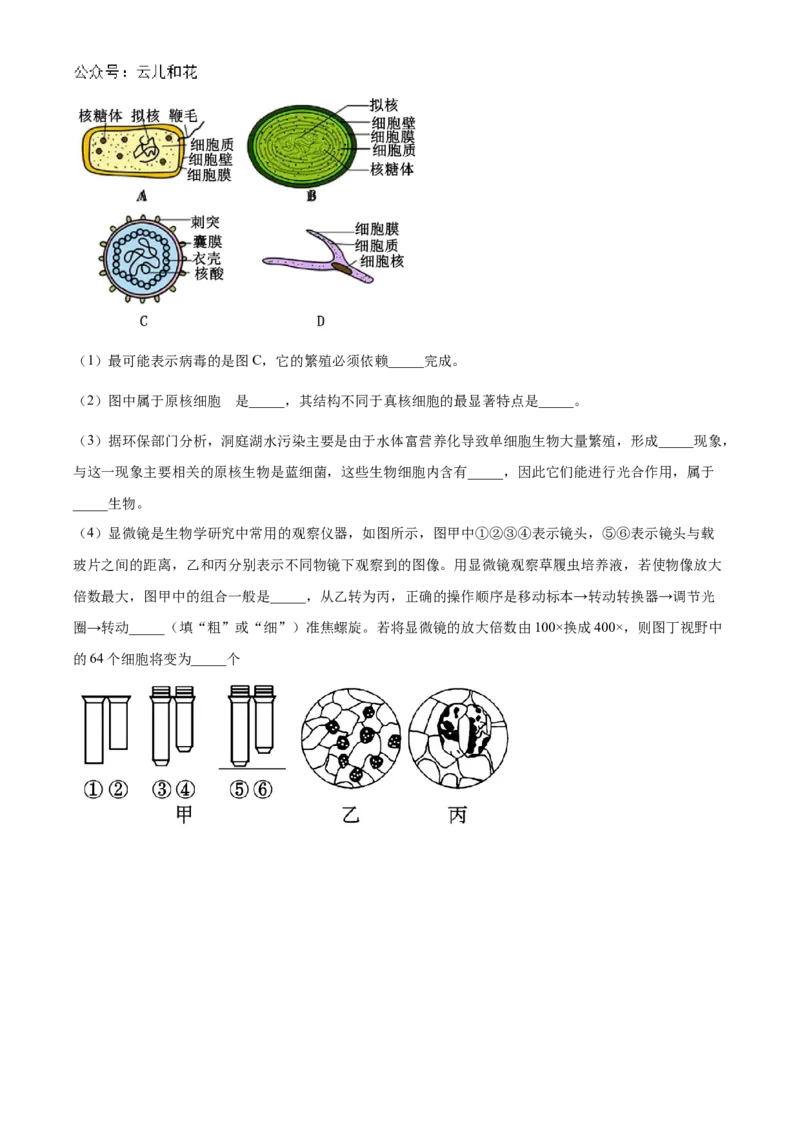 河南省郑州市第一中学2024-2025学年高一上学期第一次月考试题生物Word版含答案_2024-2025高一（7-7月题库）_2024年10月试卷_1029河南省郑州市第一中学2024-2025学年高一上学期第一次月考