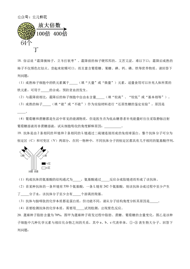 河南省郑州市第一中学2024-2025学年高一上学期第一次月考试题生物Word版含答案_2024-2025高一（7-7月题库）_2024年10月试卷_1029河南省郑州市第一中学2024-2025学年高一上学期第一次月考