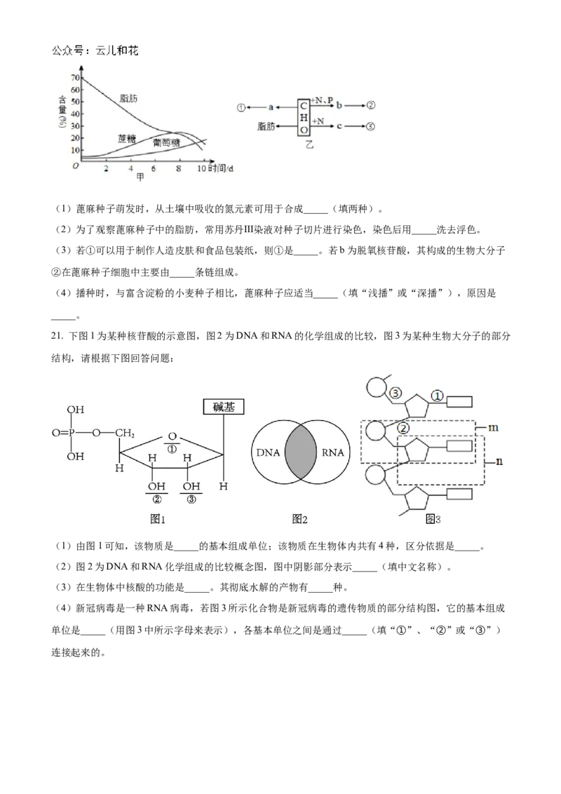 河南省郑州市第一中学2024-2025学年高一上学期第一次月考试题生物Word版含答案_2024-2025高一（7-7月题库）_2024年10月试卷_1029河南省郑州市第一中学2024-2025学年高一上学期第一次月考