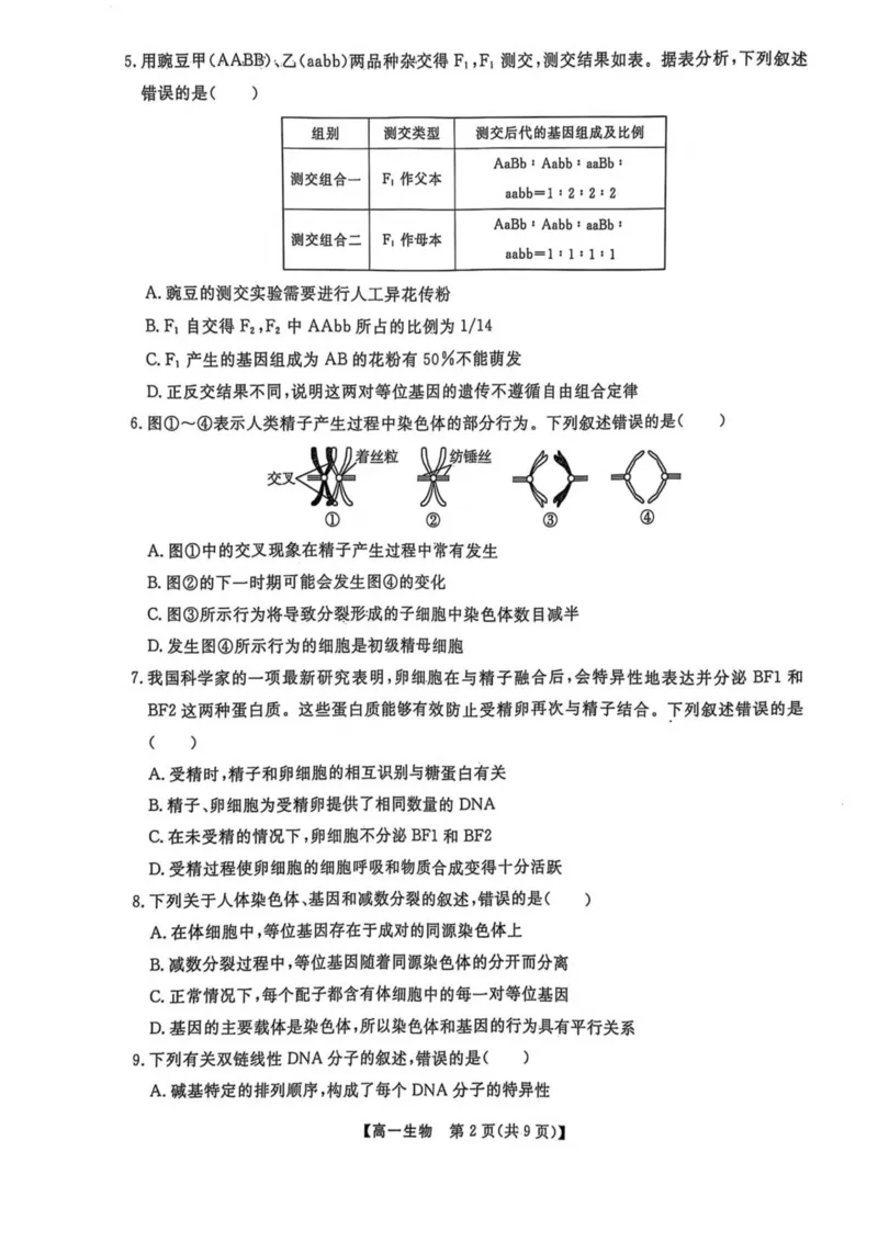 辽宁省大连市滨城高中联盟2024-2025学年高一下学期5月份期中考试生物试卷（扫描版无答案）_2024-2025高一（7-7月题库）_2025年05月试卷