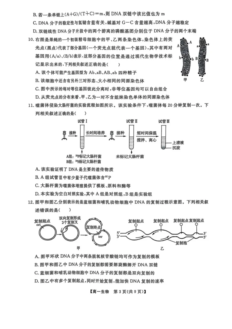 辽宁省大连市滨城高中联盟2024-2025学年高一下学期5月份期中考试生物试卷（扫描版无答案）_2024-2025高一（7-7月题库）_2025年05月试卷