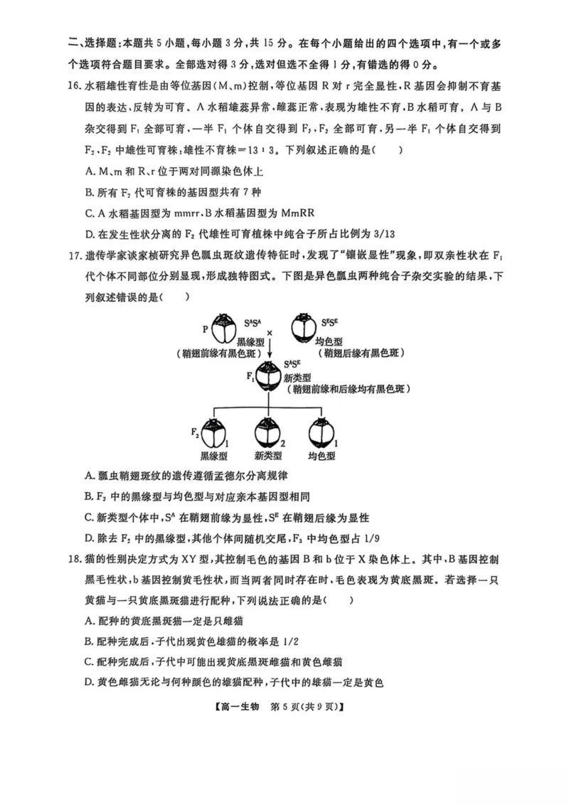 辽宁省大连市滨城高中联盟2024-2025学年高一下学期5月份期中考试生物试卷（扫描版无答案）_2024-2025高一（7-7月题库）_2025年05月试卷