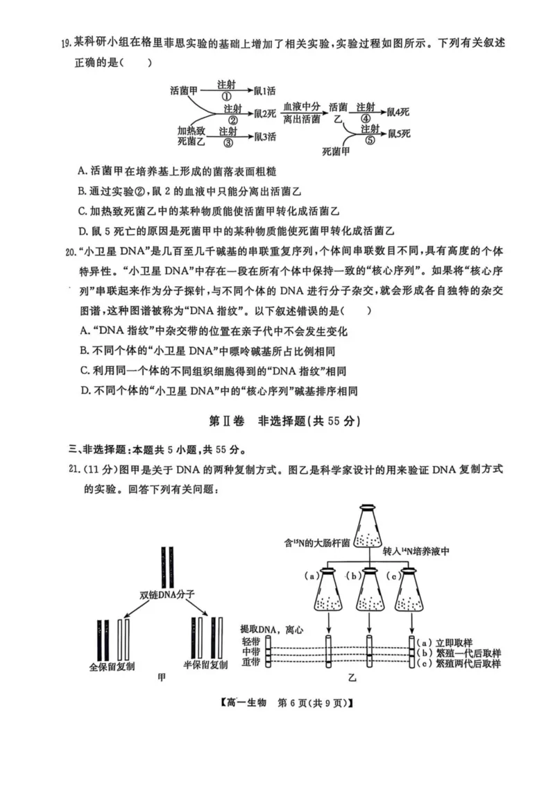 辽宁省大连市滨城高中联盟2024-2025学年高一下学期5月份期中考试生物试卷（扫描版无答案）_2024-2025高一（7-7月题库）_2025年05月试卷