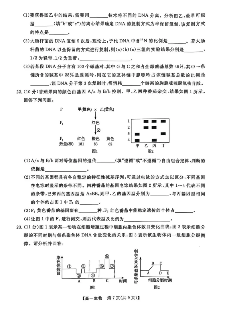 辽宁省大连市滨城高中联盟2024-2025学年高一下学期5月份期中考试生物试卷（扫描版无答案）_2024-2025高一（7-7月题库）_2025年05月试卷