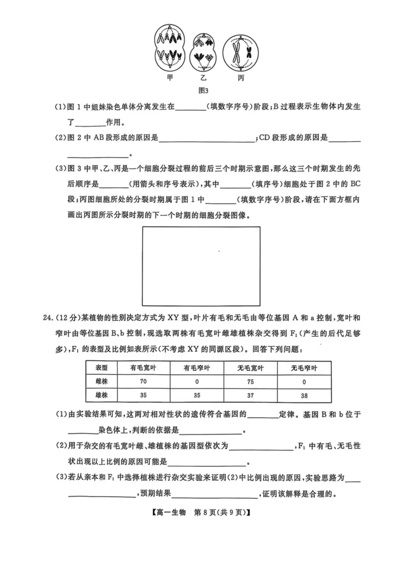 辽宁省大连市滨城高中联盟2024-2025学年高一下学期5月份期中考试生物试卷（扫描版无答案）_2024-2025高一（7-7月题库）_2025年05月试卷
