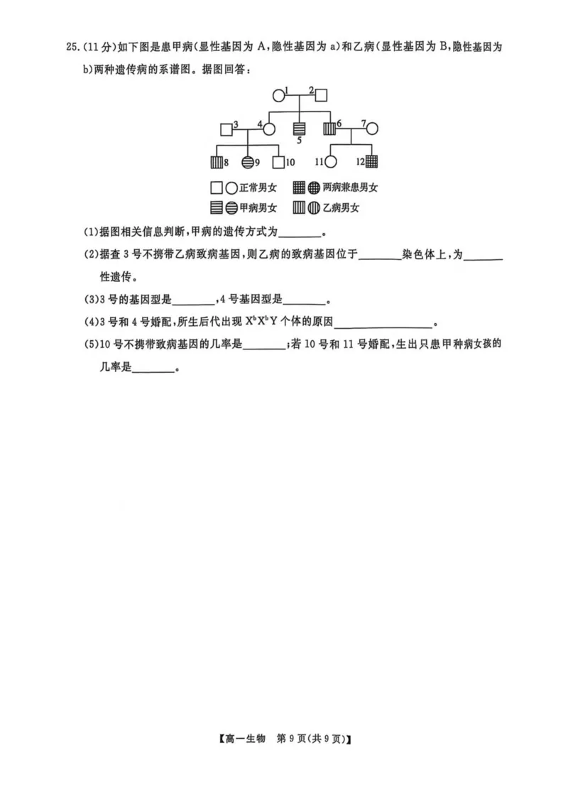 辽宁省大连市滨城高中联盟2024-2025学年高一下学期5月份期中考试生物试卷（扫描版无答案）_2024-2025高一（7-7月题库）_2025年05月试卷