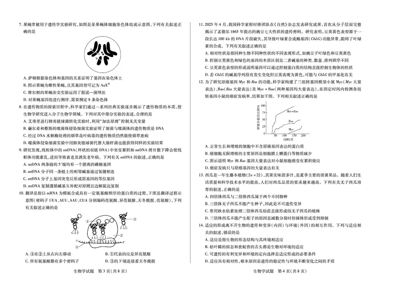 生物学徽高一7月期末试卷_2024-2025高一（7-7月题库）_2025年7月_250703天一大联考&middot;安徽省2024-2025学年（下）高一年级期末考试