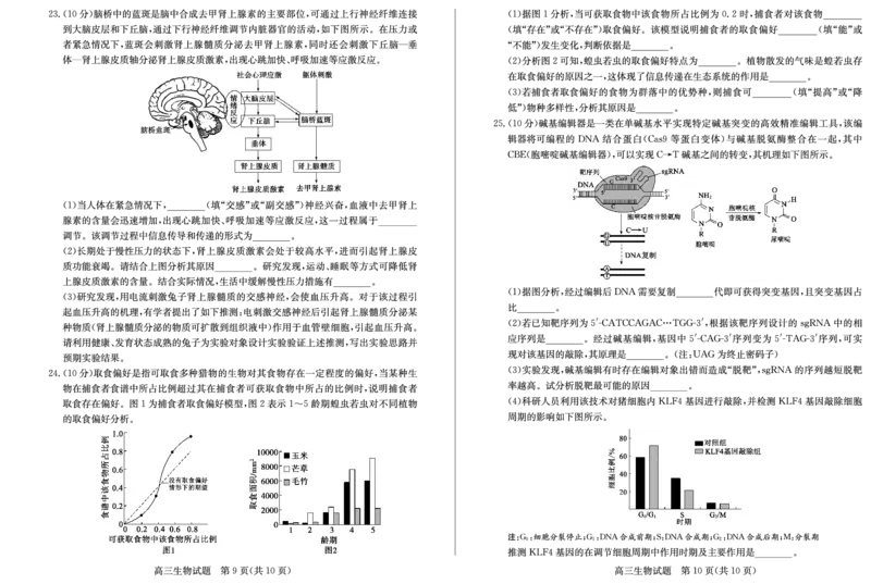 山东卷山东省德州市2024年(届)高三年级下学期第三次模拟考试(德州三模)教研室提供生物&mdash;试题_2024年5月_01按日期_23号