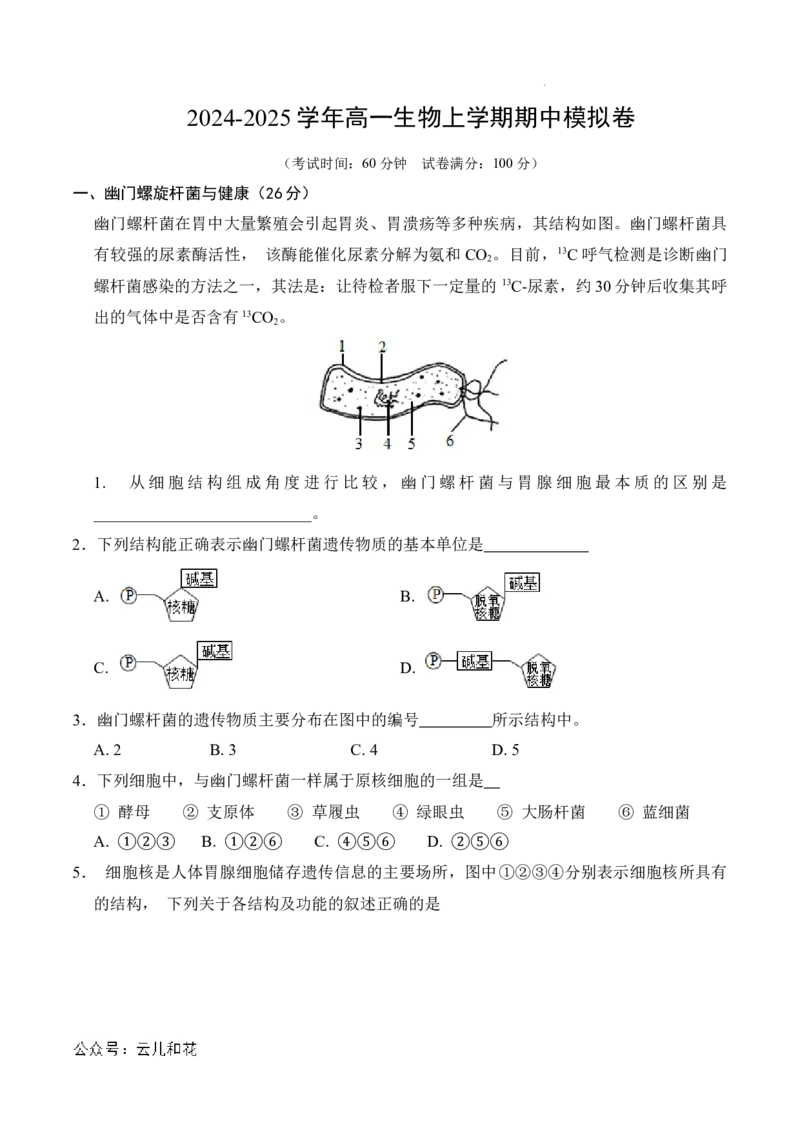 高一生物期中模拟卷（考试版A4）（上海专用）_2024-2025高一（7-7月题库）_2024年10月试卷_1021高一期中模拟卷（上海专用）黄金卷：2024-2025学年高一上学期期中模拟考试