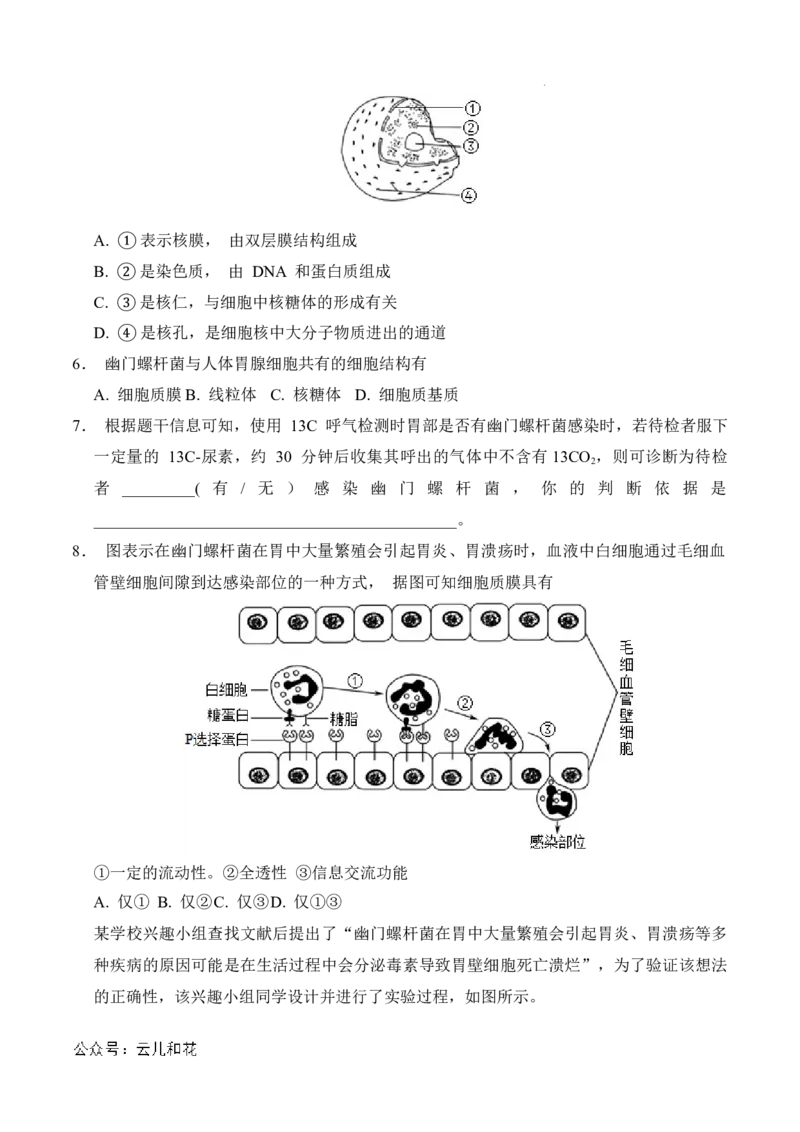 高一生物期中模拟卷（考试版A4）（上海专用）_2024-2025高一（7-7月题库）_2024年10月试卷_1021高一期中模拟卷（上海专用）黄金卷：2024-2025学年高一上学期期中模拟考试
