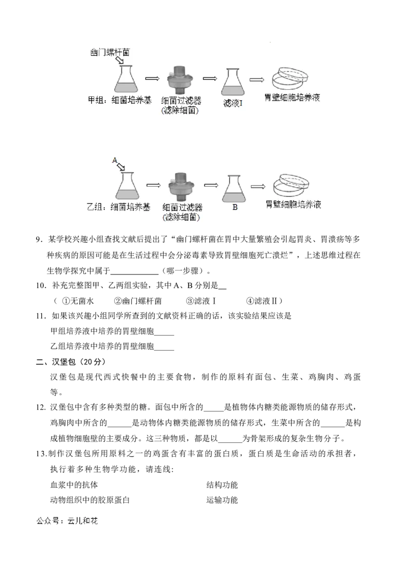 高一生物期中模拟卷（考试版A4）（上海专用）_2024-2025高一（7-7月题库）_2024年10月试卷_1021高一期中模拟卷（上海专用）黄金卷：2024-2025学年高一上学期期中模拟考试