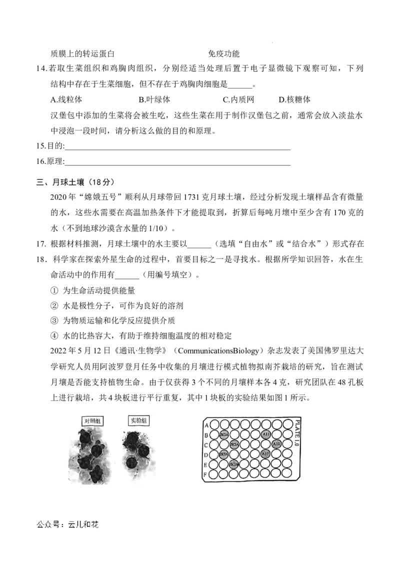 高一生物期中模拟卷（考试版A4）（上海专用）_2024-2025高一（7-7月题库）_2024年10月试卷_1021高一期中模拟卷（上海专用）黄金卷：2024-2025学年高一上学期期中模拟考试