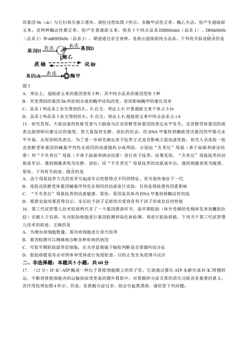 广西柳州市2024届高三下学期第三次模拟考试（柳州三模）生物(1)_2024年3月_013月合集_2024届广西柳州市高三下学期第三次模拟考试（柳州三模）