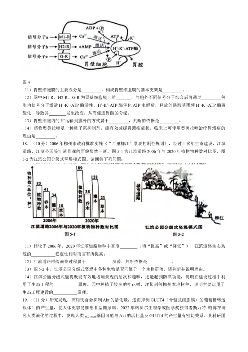 广西柳州市2024届高三下学期第三次模拟考试（柳州三模）生物(1)_2024年3月_013月合集_2024届广西柳州市高三下学期第三次模拟考试（柳州三模）