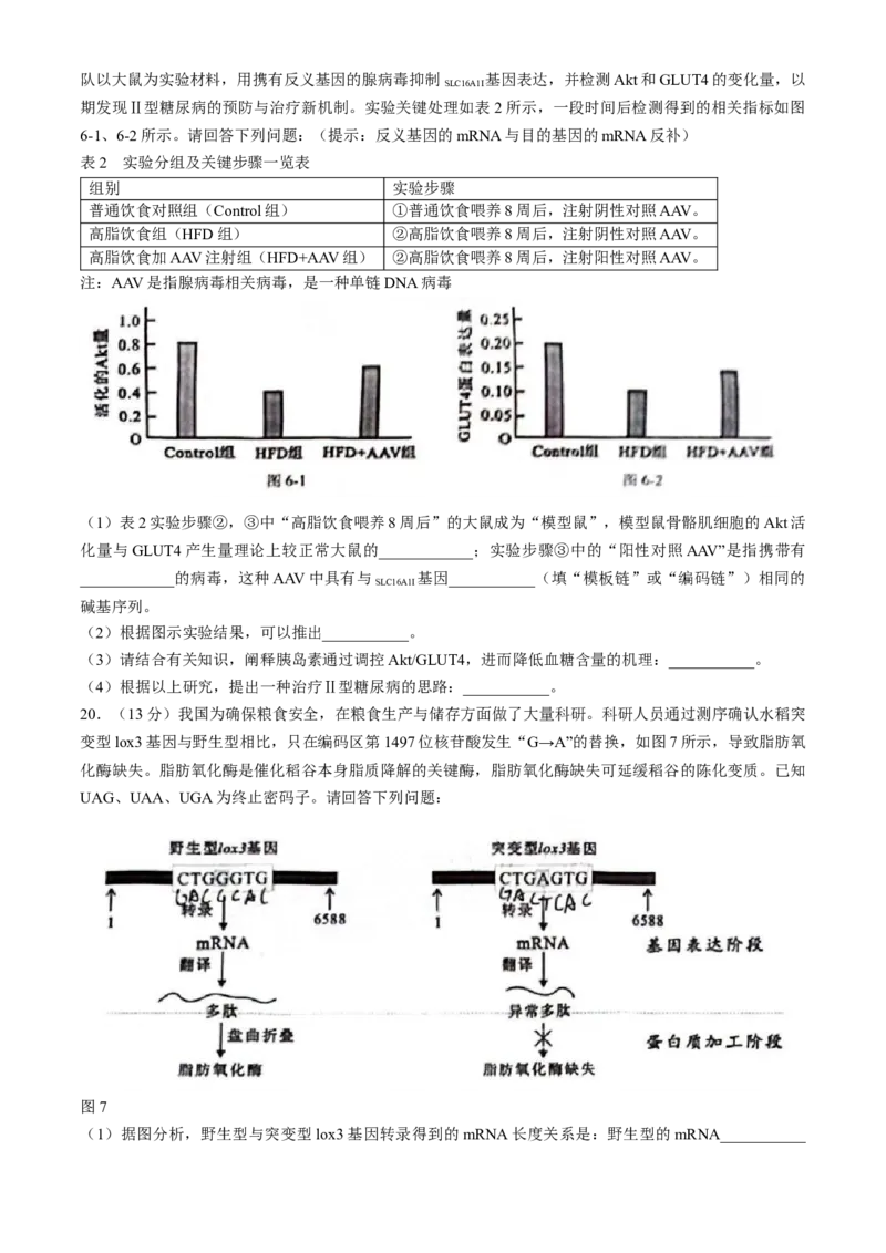 广西柳州市2024届高三下学期第三次模拟考试（柳州三模）生物(1)_2024年3月_013月合集_2024届广西柳州市高三下学期第三次模拟考试（柳州三模）