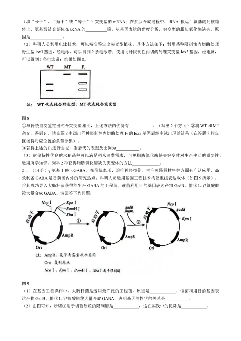 广西柳州市2024届高三下学期第三次模拟考试（柳州三模）生物(1)_2024年3月_013月合集_2024届广西柳州市高三下学期第三次模拟考试（柳州三模）