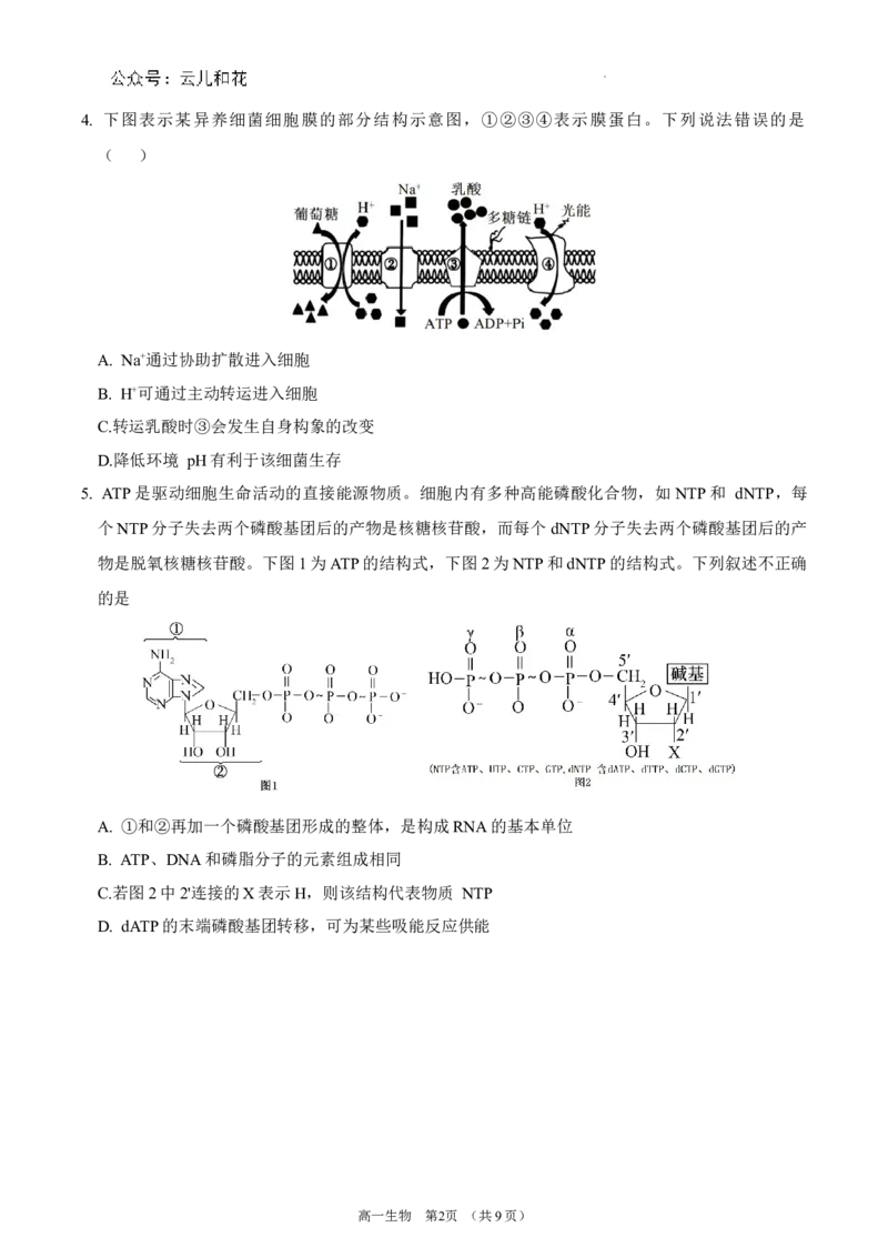 锡林郭勒盟全盟高一年级期末学业质量检测生物试卷_2024-2025高一（7-7月题库）_2024年7月试卷_0724内蒙古锡林郭勒盟2023-2024学年高一下学期7月期末