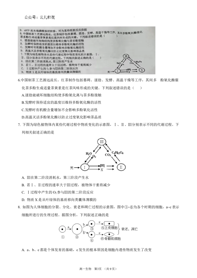 锡林郭勒盟全盟高一年级期末学业质量检测生物试卷_2024-2025高一（7-7月题库）_2024年7月试卷_0724内蒙古锡林郭勒盟2023-2024学年高一下学期7月期末