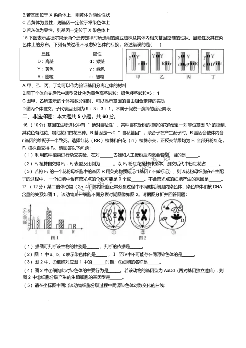 福建省龙岩市一级校联盟2024-2025学年高一下学期4月期中考联考试题生物Word版含答案_2024-2025高一（7-7月题库）_2025年05月试卷