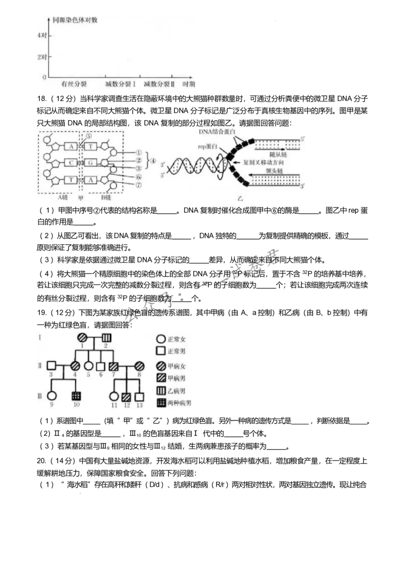 福建省龙岩市一级校联盟2024-2025学年高一下学期4月期中考联考试题生物Word版含答案_2024-2025高一（7-7月题库）_2025年05月试卷