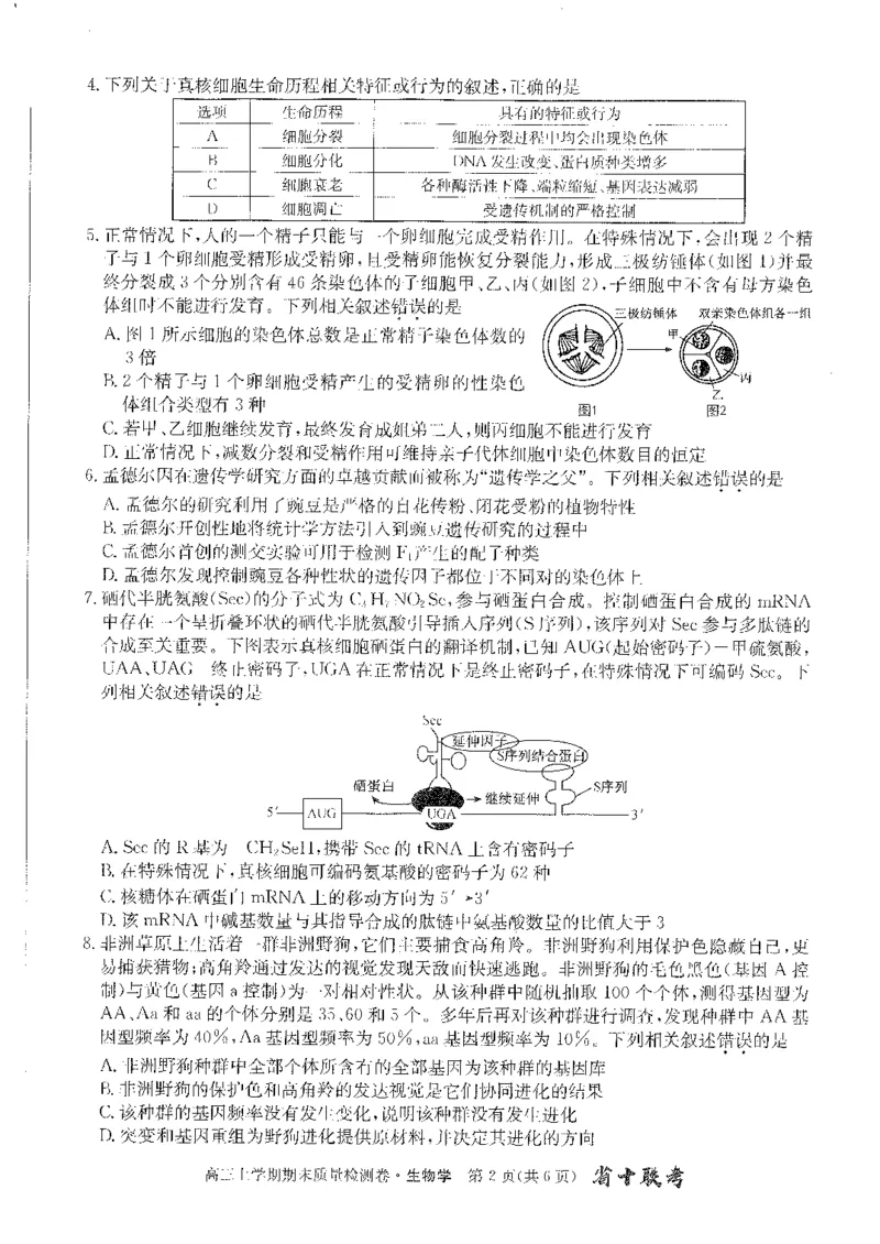 安徽省合肥市第一中学2023-2024学年高三上学期期末考试生物试题_2024年2月_01每日更新_01号_2024届安徽省合肥市第一中学高三上学期期末质量检测