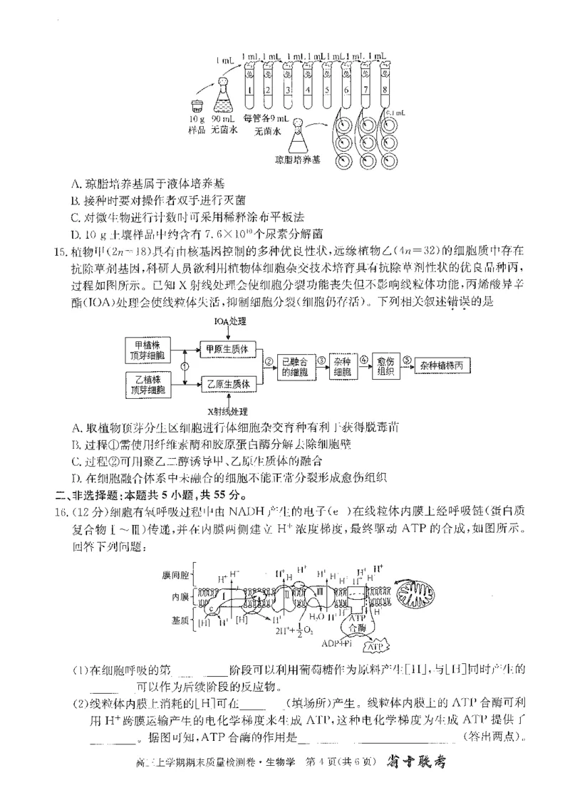 安徽省合肥市第一中学2023-2024学年高三上学期期末考试生物试题_2024年2月_01每日更新_01号_2024届安徽省合肥市第一中学高三上学期期末质量检测